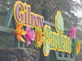 Gilroy Garlic Festival tickets go on sale May 31 gilroy gardens sign hecker pass road fantastical flowers