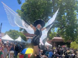 Photos: Morgan Hill Mushroom Festival