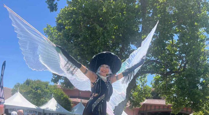 Photos: Morgan Hill Mushroom Festival