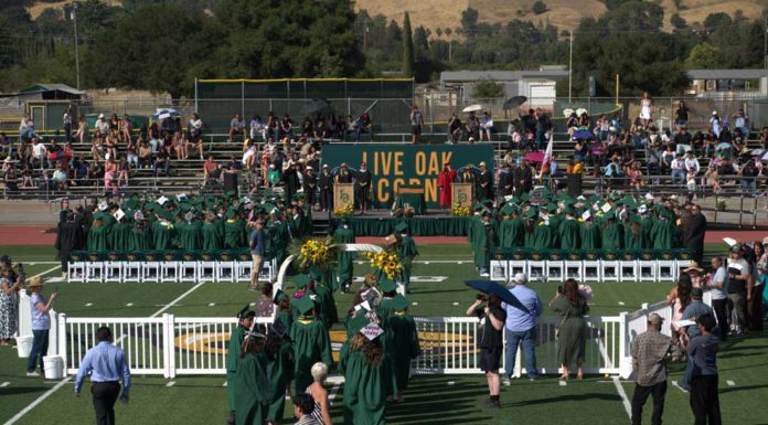 Live Oak High Class of 2025: Acorns take the next step