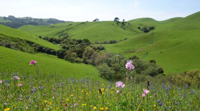 Open Space Trust Buys 2500 Acres