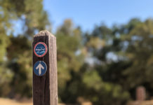 Open Space Authority to conduct prescribed burn in west Morgan Hill