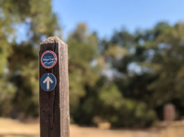 Officials dedicate 14.1 miles of Bay Area Ridge Trail in Morgan Hill