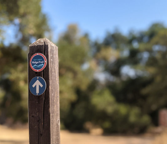 Open Space Authority to conduct prescribed burn in west Morgan Hill
