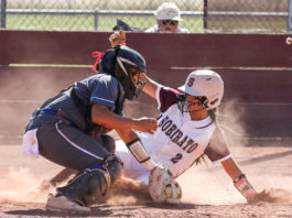 Sobrato softball advances to playoffs for third straight year