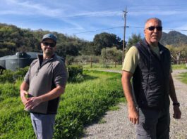 Twice Tyger burns bright in the Valley of the Heart’s Delight