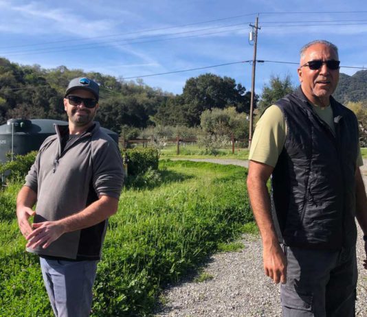 Twice Tyger burns bright in the Valley of the Heart’s Delight