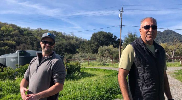 Twice Tyger burns bright in the Valley of the Heart’s Delight