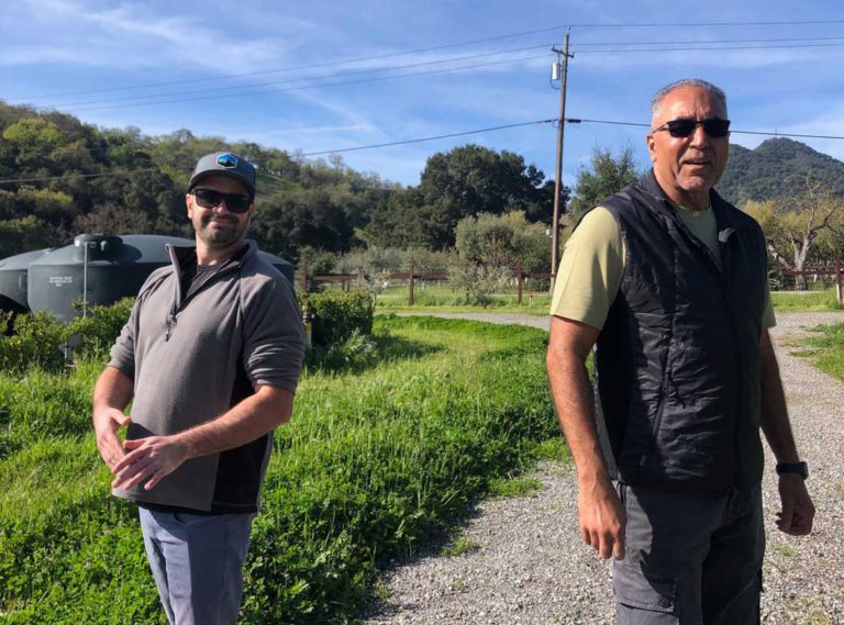 Twice Tyger burns bright in the Valley of the Heart’s Delight