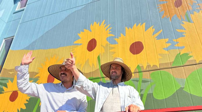 Painting Morgan Hill