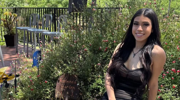 Police continue search for killer after Marissa DiNapoli’s body found in Morgan Hill Marissa DiNapoli