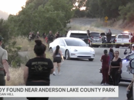 Body Found Near Anderson During Search for Missing Woman Marissa DiNapoli