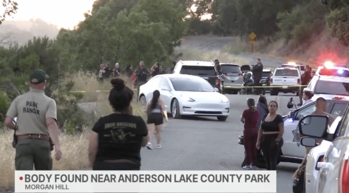 Body Found Near Anderson During Search for Missing Woman Marissa DiNapoli