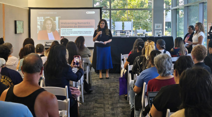 County officials warn of ‘critical’ federal healthcare cuts at townhall