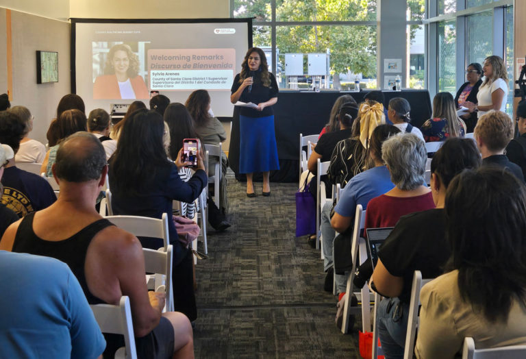 County officials warn of ‘critical’ federal healthcare cuts at townhall