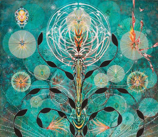 Cura showcases Iowa artist