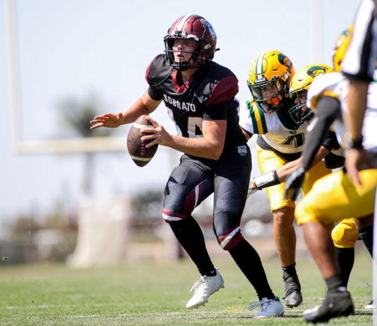 Local players lead South team in football all-star game
