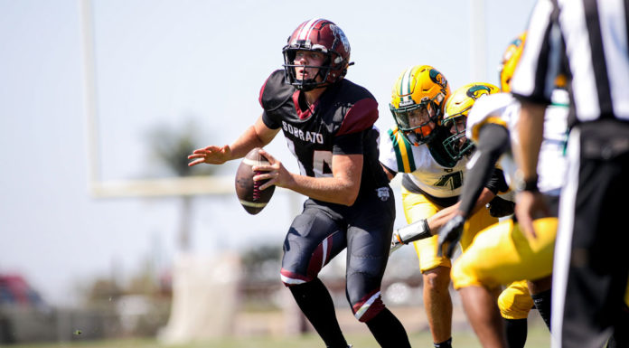 Local players lead South team in football all-star game