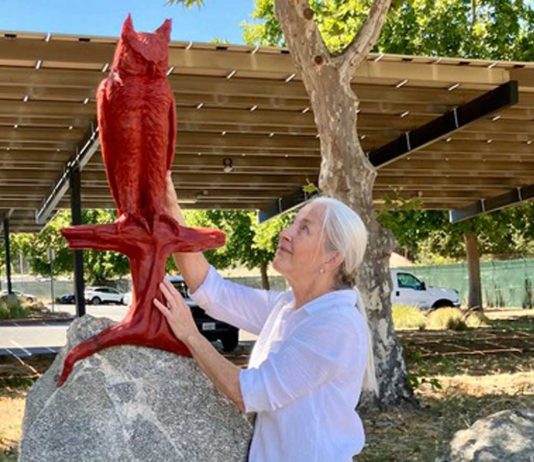 Leadership Morgan Hill class restores community treasures