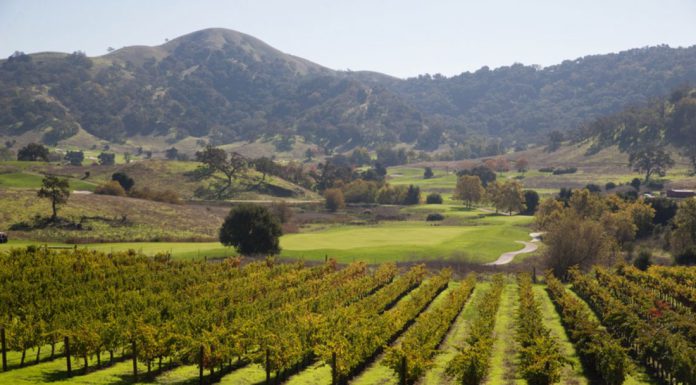 CordeValle purchases Clos La Chance winery