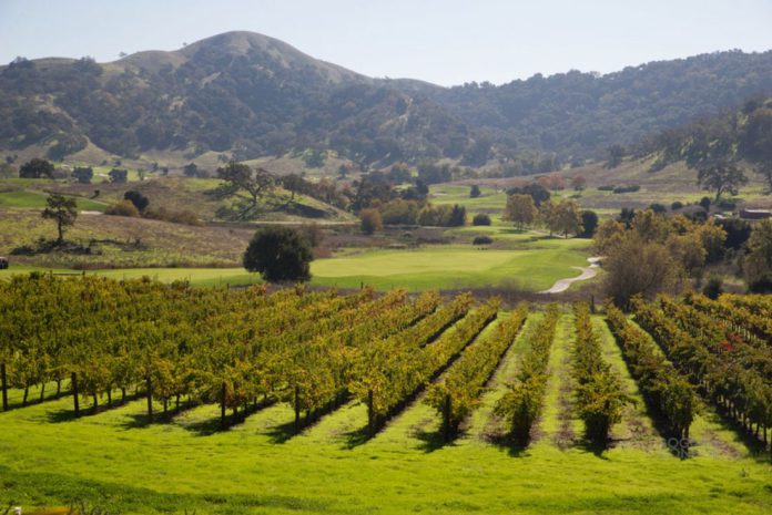 CordeValle Winery