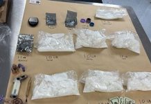 Police recover six pounds of meth in Morgan Hill traffic stop