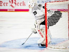 Dustin Wolf’s Stats and Records in the 2025 Season Icehockey goalkeeper standing in goal during a match