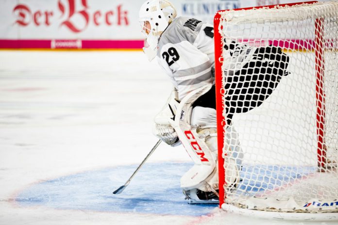 Icehockey goalkeeper standing in goal during a match