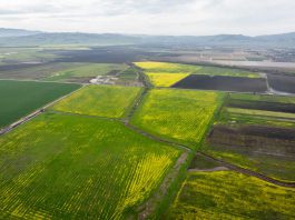 Conservation groups buy 668 acres of South Valley farmland