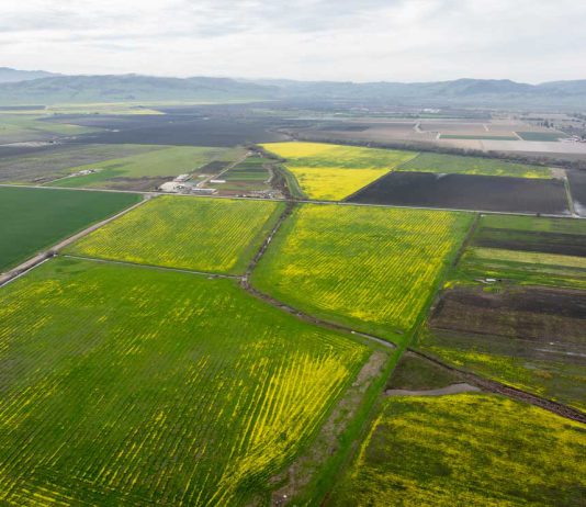Conservation groups buy 668 acres of South Valley farmland