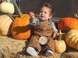 South Valley farm maintains Halloween fall tradition