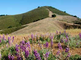 Morgan Hill, Open Space to collaborate on El Toro trail