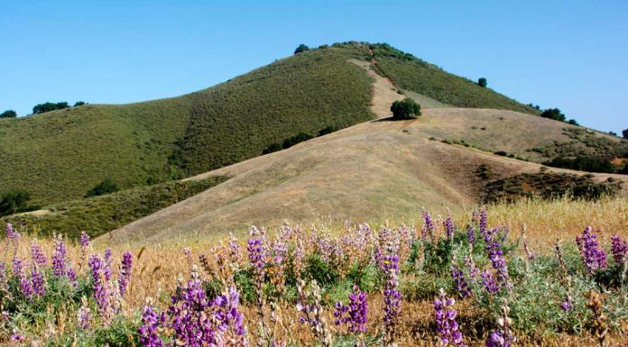 Morgan Hill, Open Space to collaborate on El Toro trail