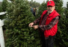 ‘Tis the season at South County’s Battaglia Ranch