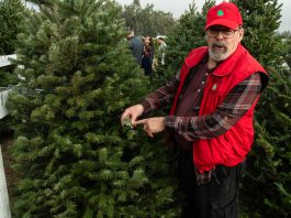 ‘Tis the season at South County’s Battaglia Ranch