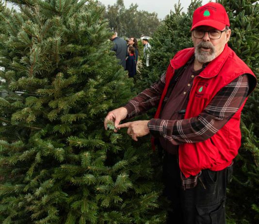 ‘Tis the season at South County’s Battaglia Ranch