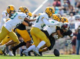 Live Oak football rebounds with strong season