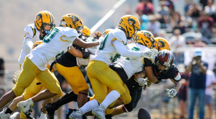 Live Oak football rebounds with strong season