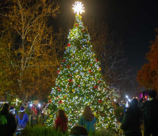 Let the holidays begin