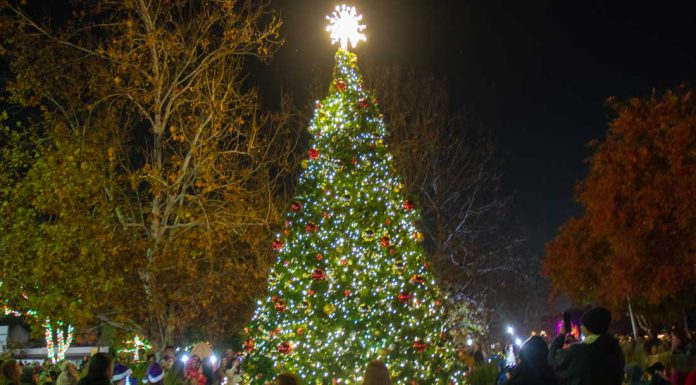 Let the holidays begin