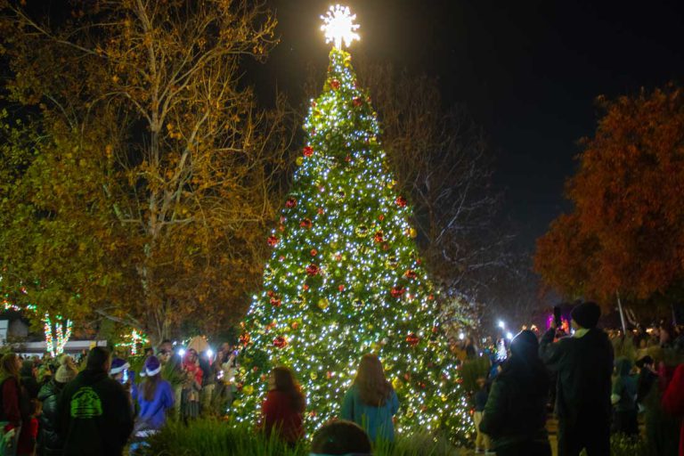 Let the holidays begin