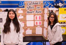 Students apply their knowledge at Britton Science Fair