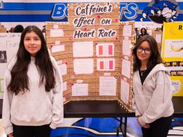 Students apply their knowledge at Britton Science Fair