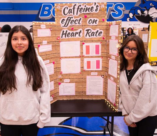 Students apply their knowledge at Britton Science Fair