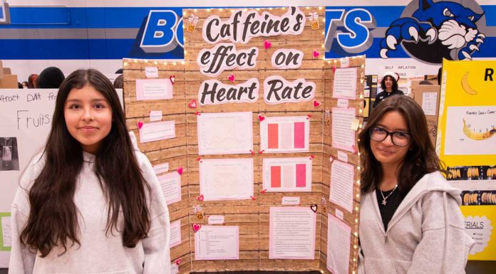 Students apply their knowledge at Britton Science Fair