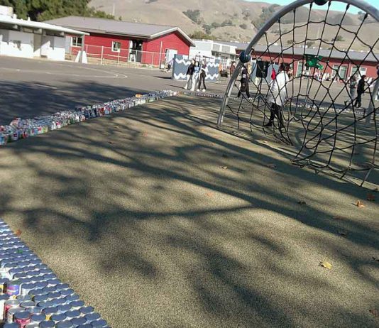 Morgan Hill students collect more than 6,000 cans of food
