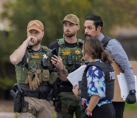 South Valley carjacker was on violent spree, police say