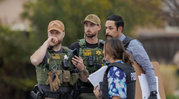 South Valley carjacker was on violent spree, police say