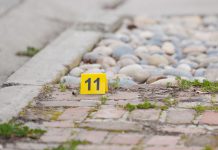 Armed suspect shot by San Jose Police after fleeing Hollister