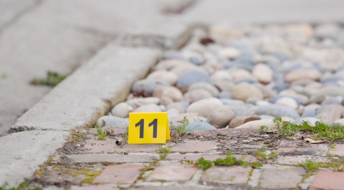 Armed suspect shot by San Jose Police after fleeing Hollister